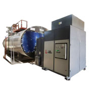 生物質(zhì)天然氣兩用鍋爐